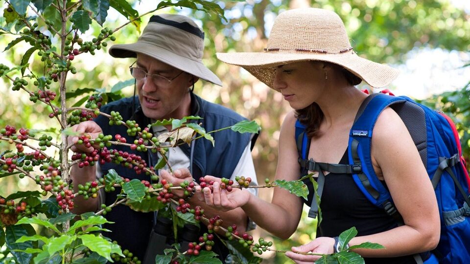 coffee farm day tour