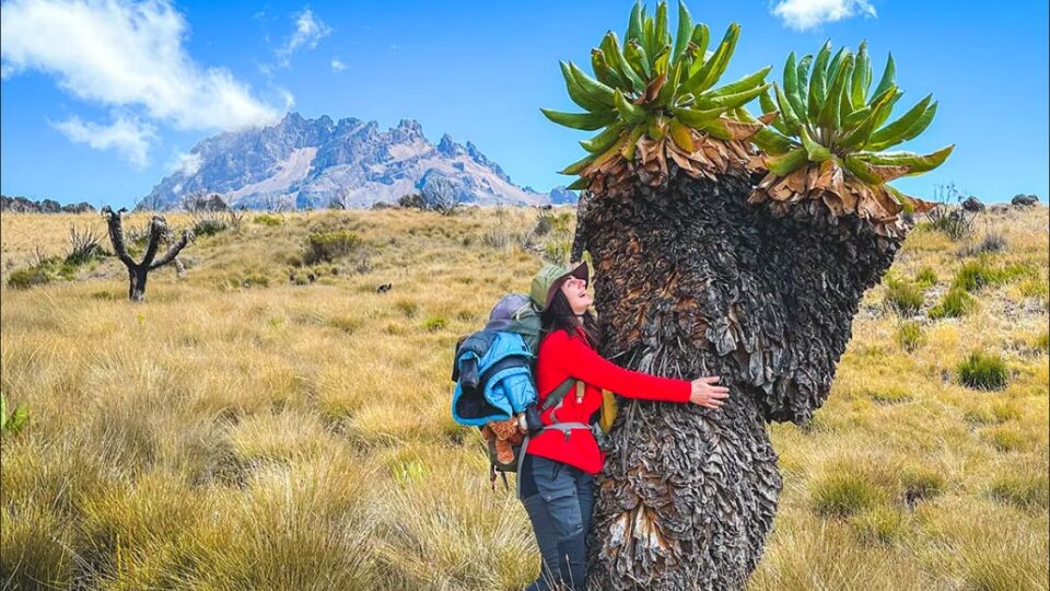 Day tour to Kilimanjaro via Marangu route