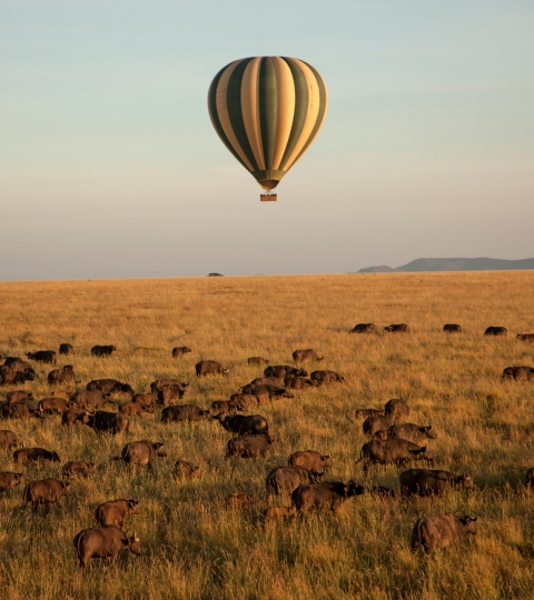 hot air balloon ride