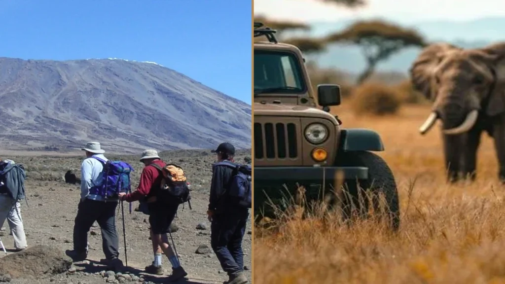 Kilimanjaro Rongai Route climbing and Tanzania wildlife safari combination