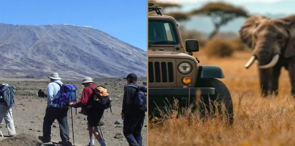 Kilimanjaro Rongai Route climbing and Tanzania wildlife safari combination
