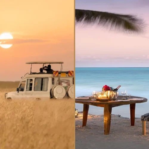 Tanzania wildlife safari and Zanzibar beach holiday combination