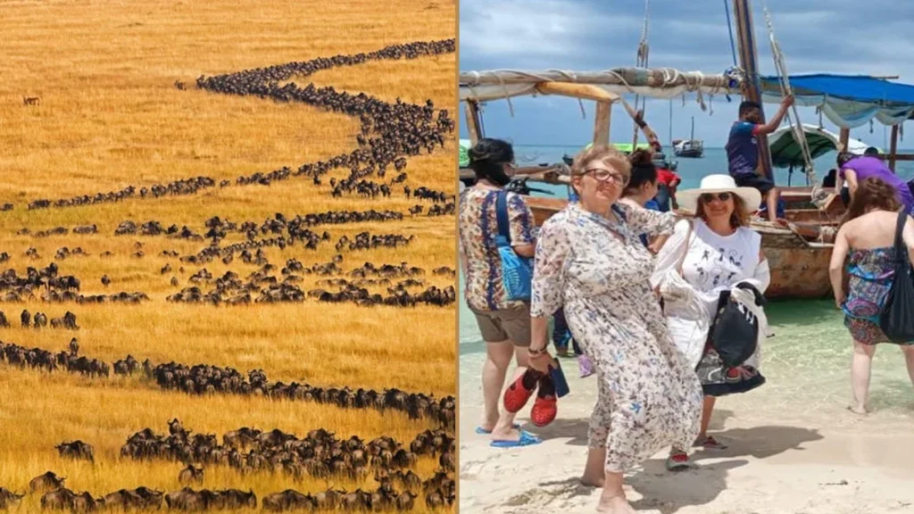 Tanzania wildlife safari and Zanzibar beach holiday combination