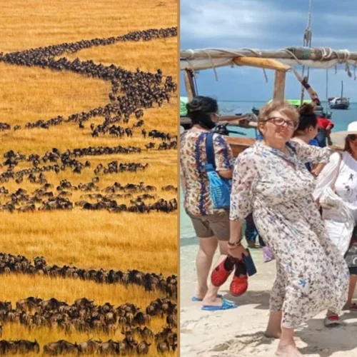 Tanzania wildlife safari and Zanzibar beach holiday combination