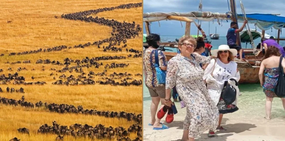 Tanzania wildlife safari and Zanzibar beach holiday combination