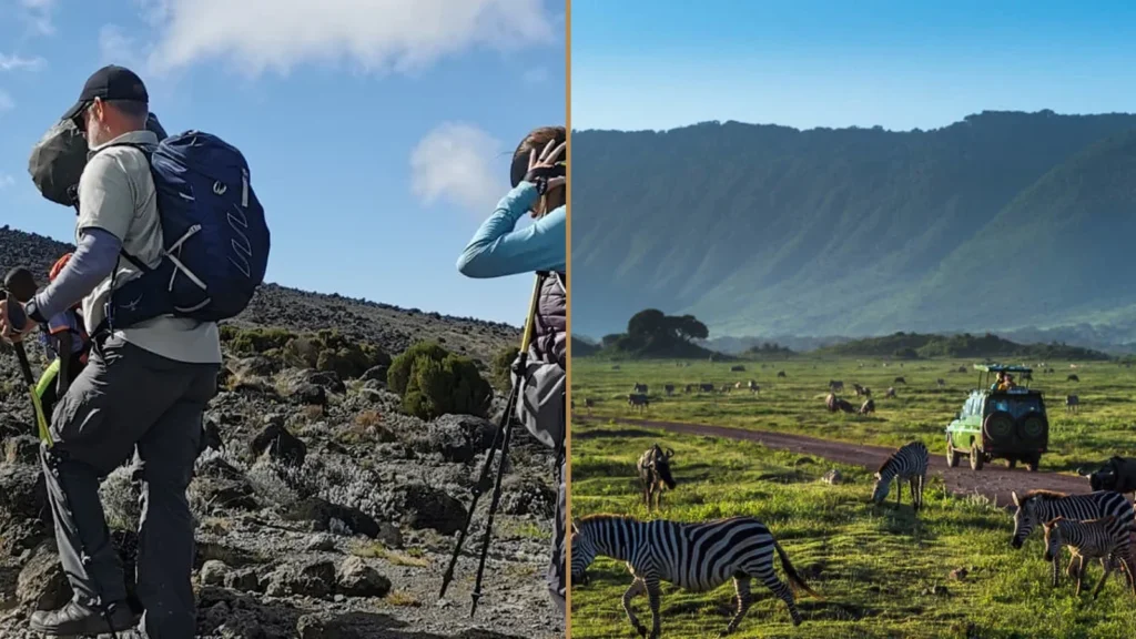 Kilimanjaro Lemosho Route climbing and Tanzania wildlife safari combination