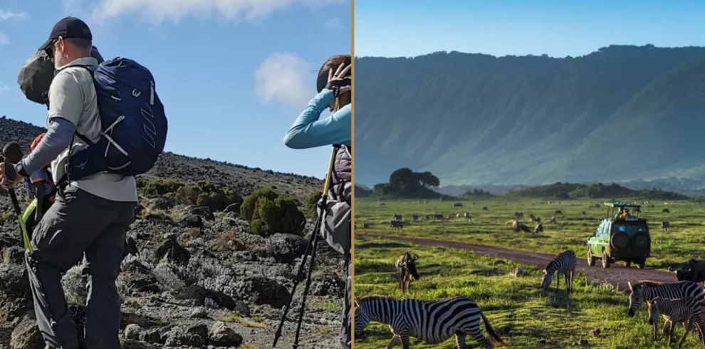 Kilimanjaro Lemosho Route climbing and Tanzania wildlife safari combination
