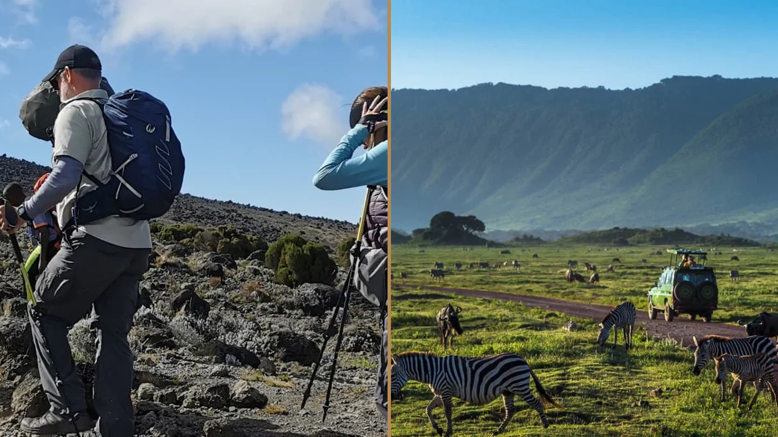 Kilimanjaro Lemosho Route climbing and Tanzania wildlife safari combination