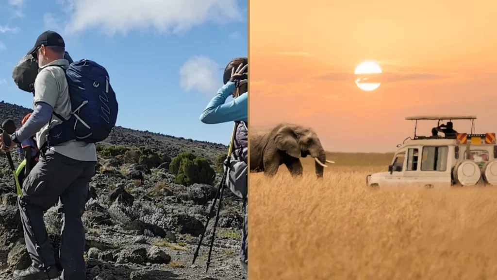 Kilimanjaro Machame Route climbing and Tanzania wildlife safari combination