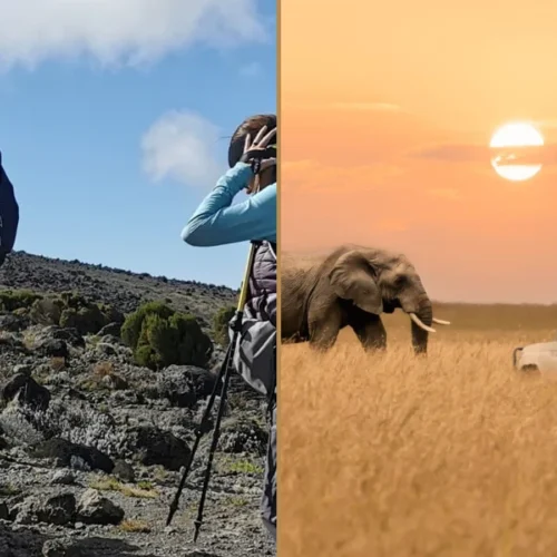 Kilimanjaro Machame Route climbing and Tanzania wildlife safari combination