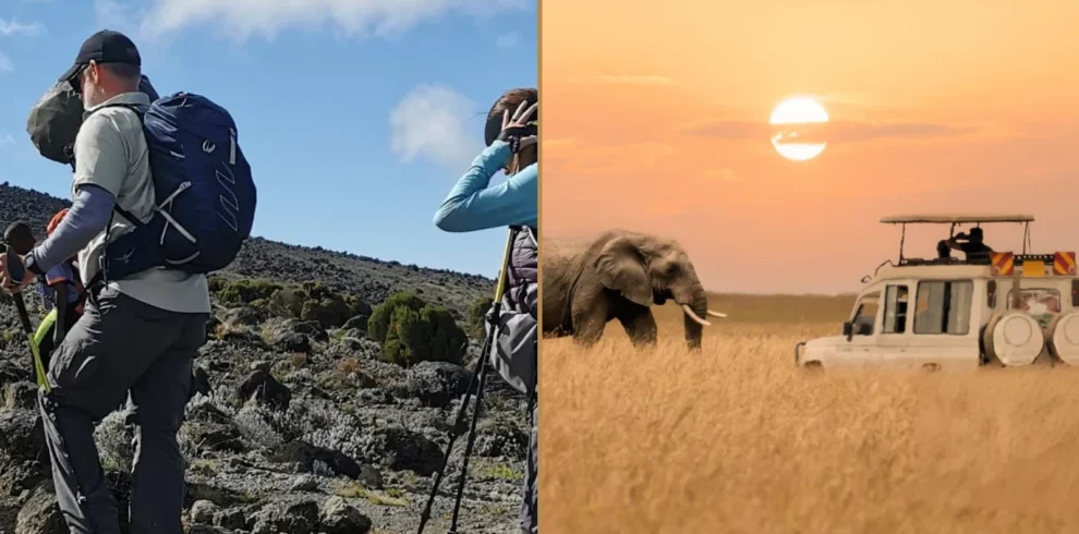 Kilimanjaro Machame Route climbing and Tanzania wildlife safari combination