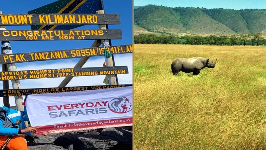Kilimanjaro Lemosho Route climbing and Tanzania wildlife safari combination