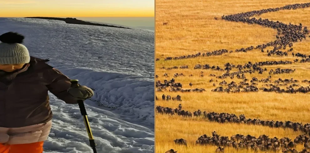 Kilimanjaro Lemosho Route climbing and Tanzania wildlife safari combination
