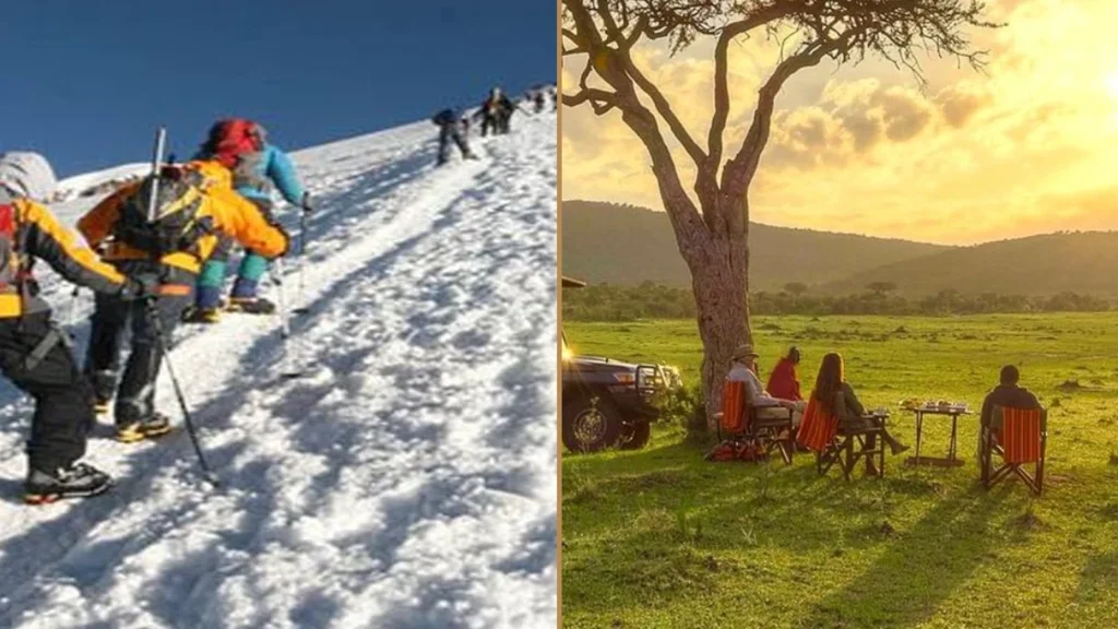 Kilimanjaro Northern Circuit climbing and Tanzania wildlife safari combination