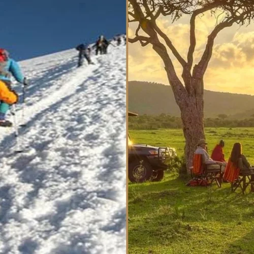 Kilimanjaro Northern Circuit climbing and Tanzania wildlife safari combination