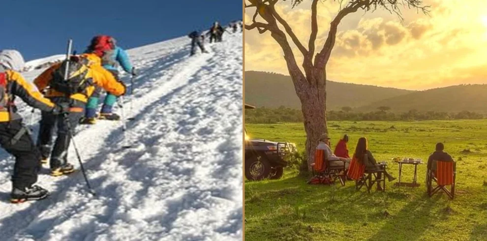 Kilimanjaro Northern Circuit climbing and Tanzania wildlife safari combination