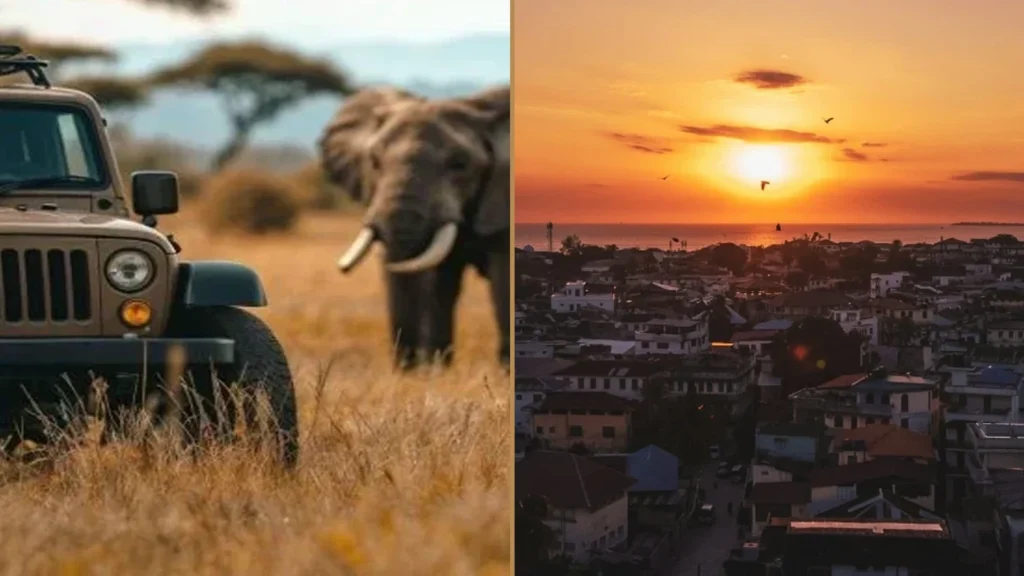 Tanzania wildlife safari and Zanzibar beach holiday combination