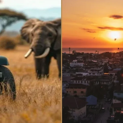 Tanzania wildlife safari and Zanzibar beach holiday combination