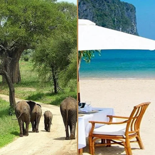 Tanzania wildlife safari and Zanzibar beach holiday combination