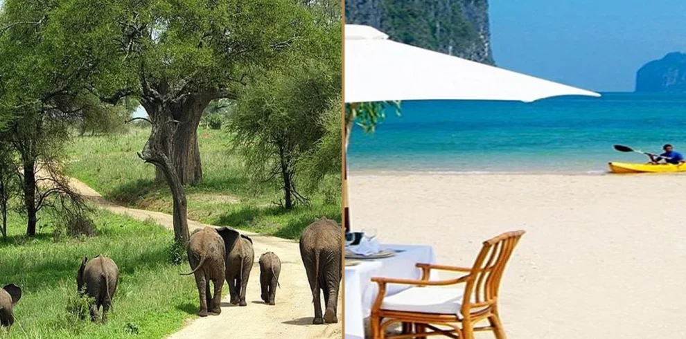 Tanzania wildlife safari and Zanzibar beach holiday combination