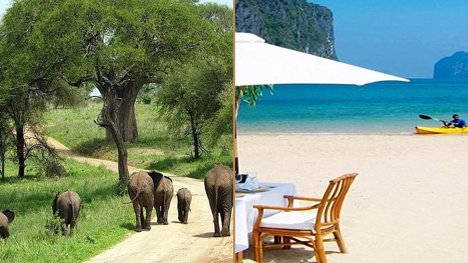 family Tanzania holiday travel guide by Everyday Safaris in Tanzania