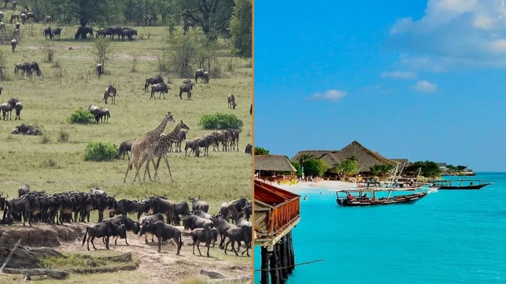 Tanzania wildlife safari and Zanzibar beach holiday combination