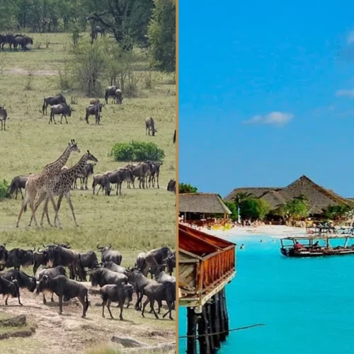 Tanzania wildlife safari and Zanzibar beach holiday combination