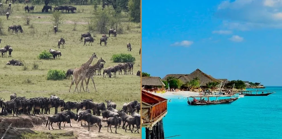 Tanzania wildlife safari and Zanzibar beach holiday combination