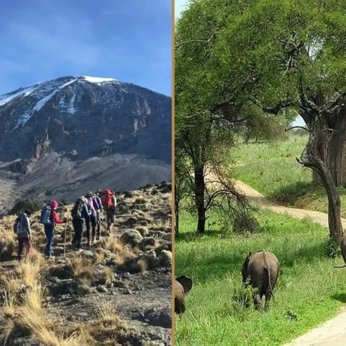 Kilimanjaro Marangu Route climbing and Tanzania wildlife safari combination