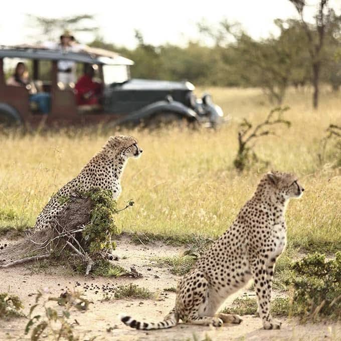 Arusha National Park 2