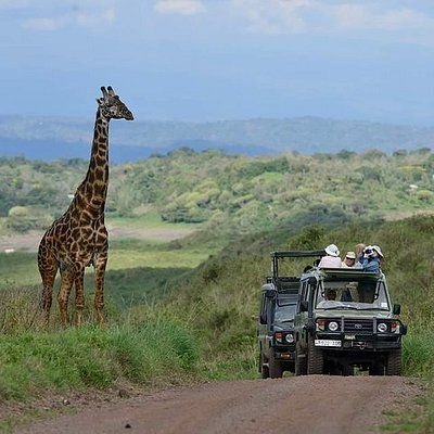 Tanzania safari four wheel drive vehicle for private game drives