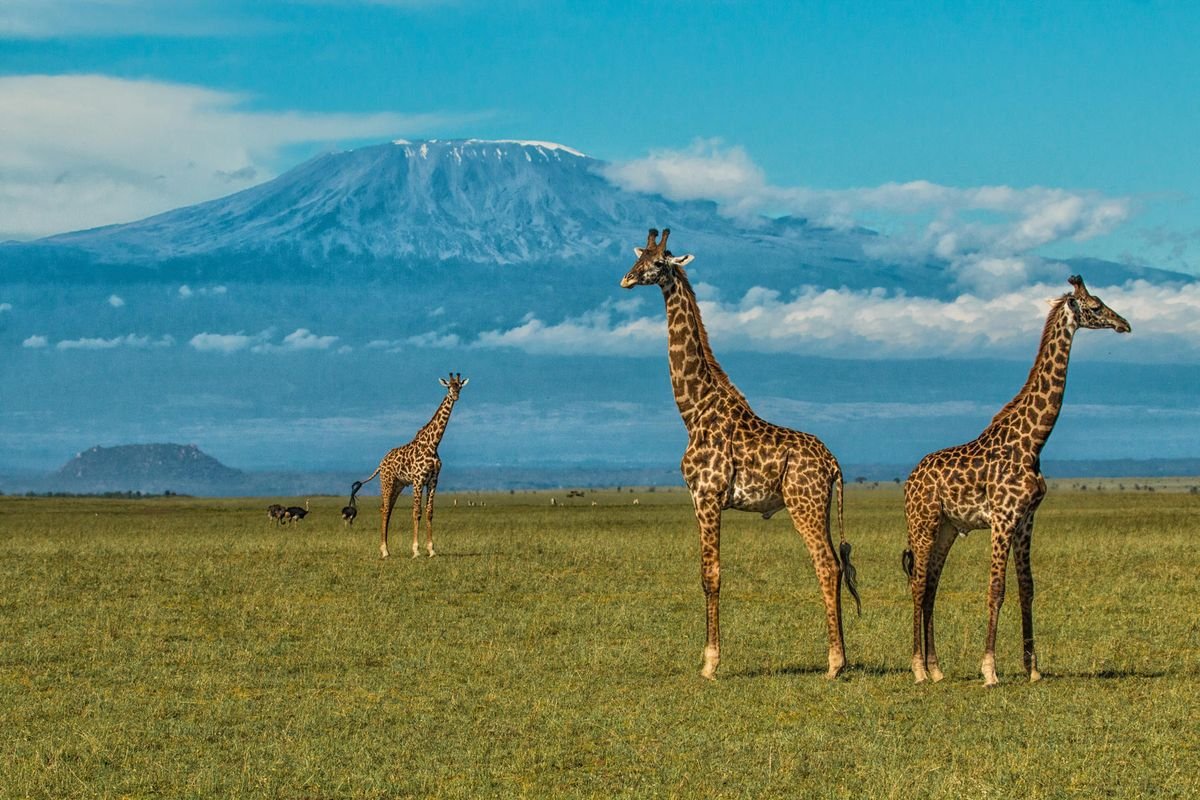 Tanzania travel landscape featured in the Everyday Safaris gallery