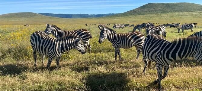 Day Trip Arusha National Park from Arusha