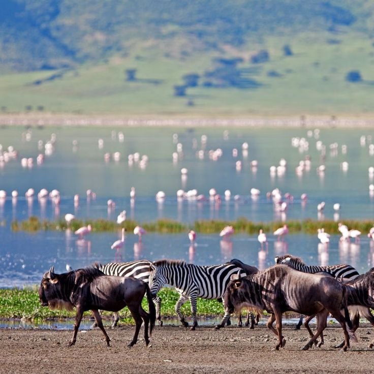 Lake Manyara National Park hero
