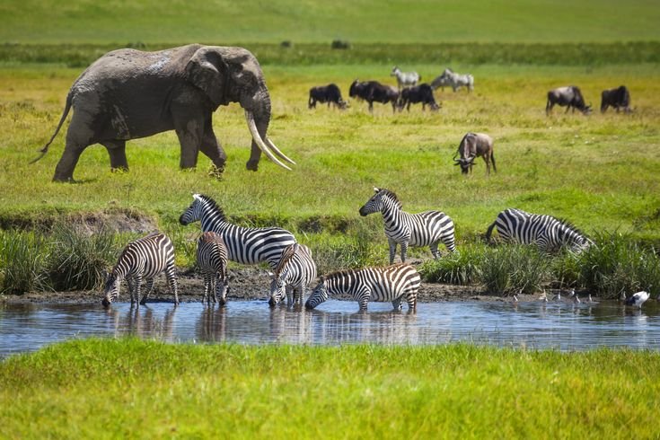 Tarangire National Park