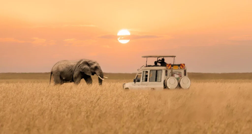 Elephant and safari vehicle on classic Tanzania wildlife safari