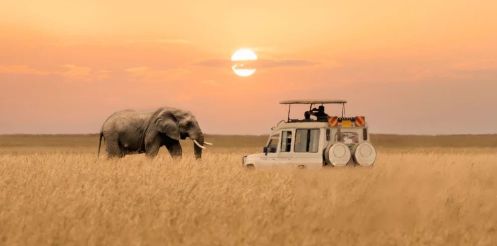 Elephant and safari vehicle on classic Tanzania wildlife safari