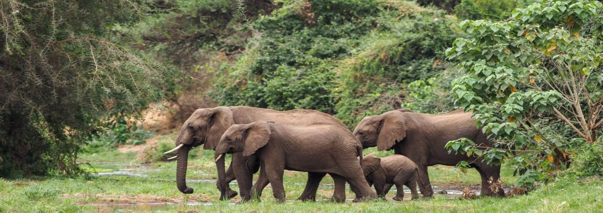 Tanzania safari with children travel guide by Everyday Safaris in Tanzania