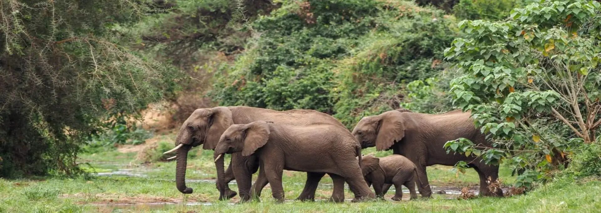 Family and friends relaxing together after a Tanzania safari day