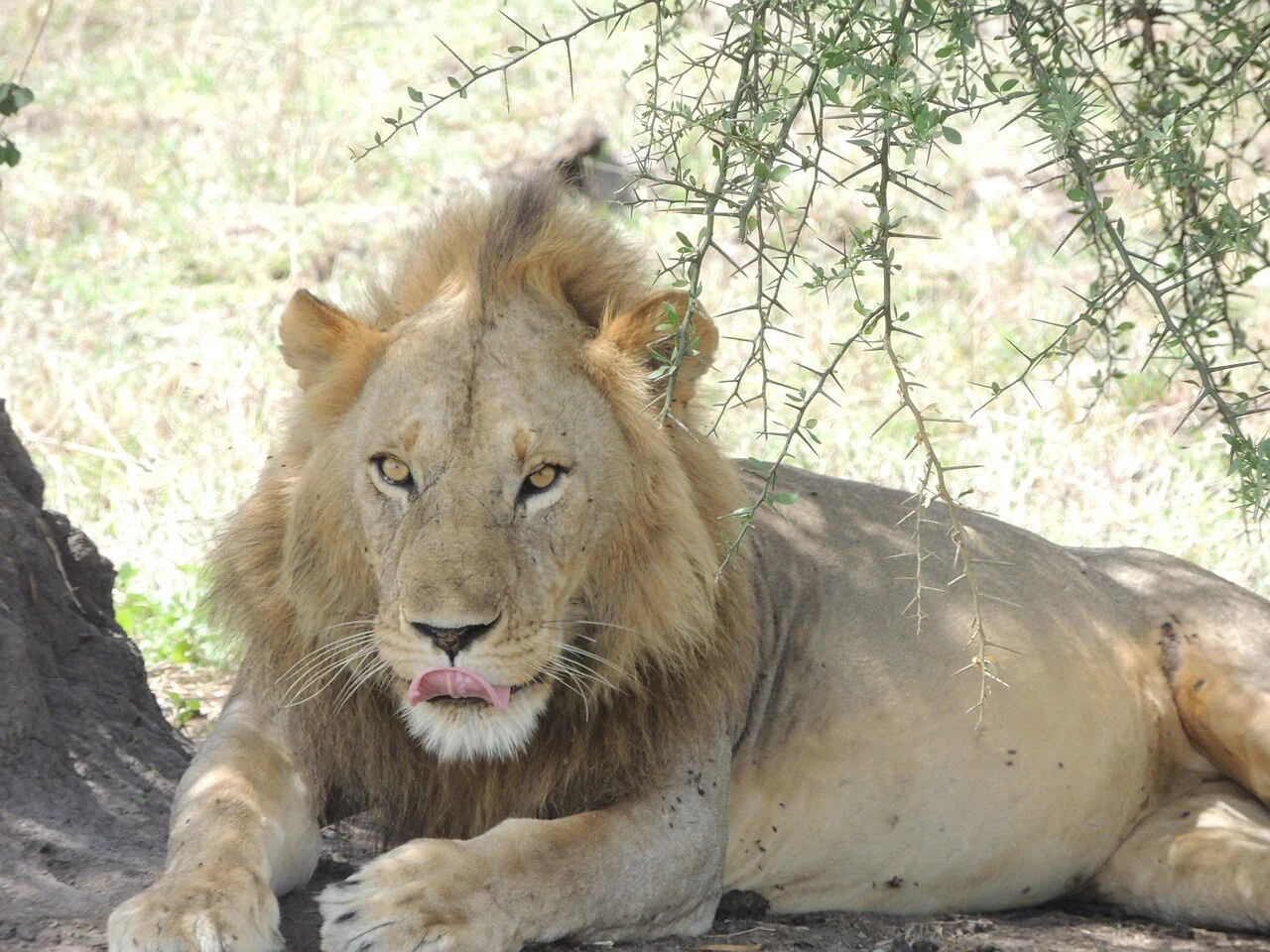Responsible and sustainable tourism experience in Tanzania