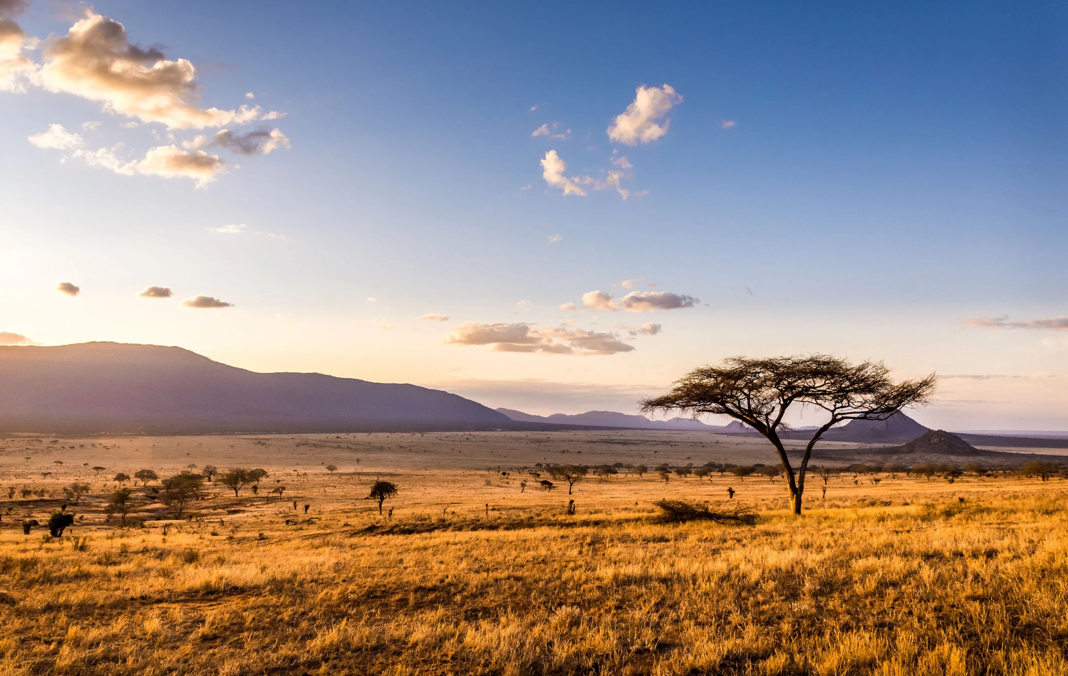 Great Migration and Tanzania wildlife safari experience