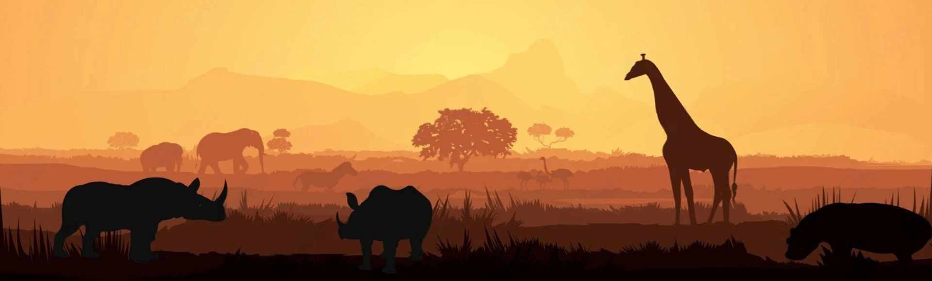 Safari + Kilimanjaro