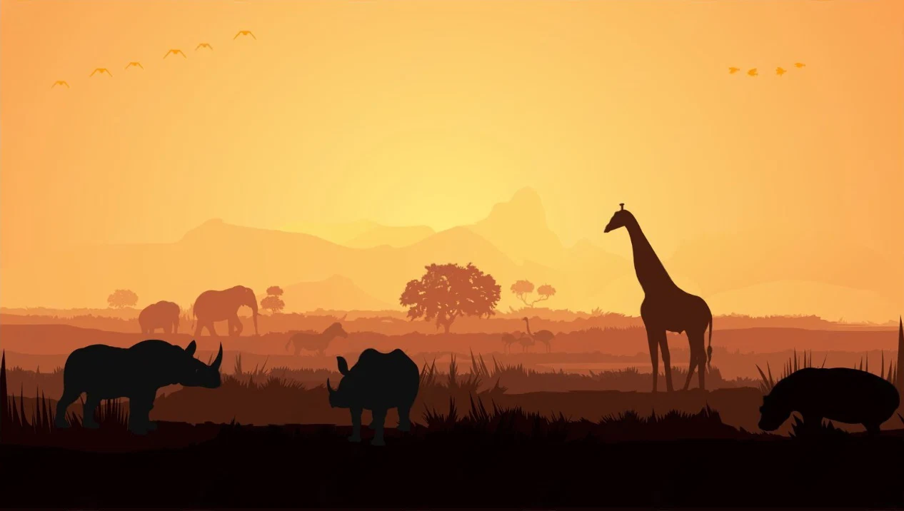 Great Migration and Tanzania wildlife safari experience