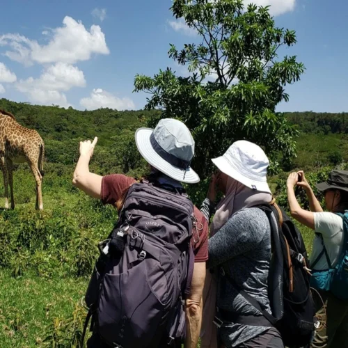 Arusha National Park wildlife with Mount Meru scenery during a Tanzania safari