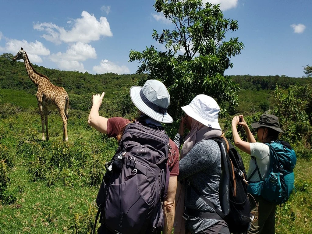 Arusha National Park wildlife with Mount Meru scenery during a Tanzania safari