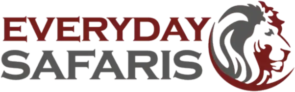 Everyday Safaris