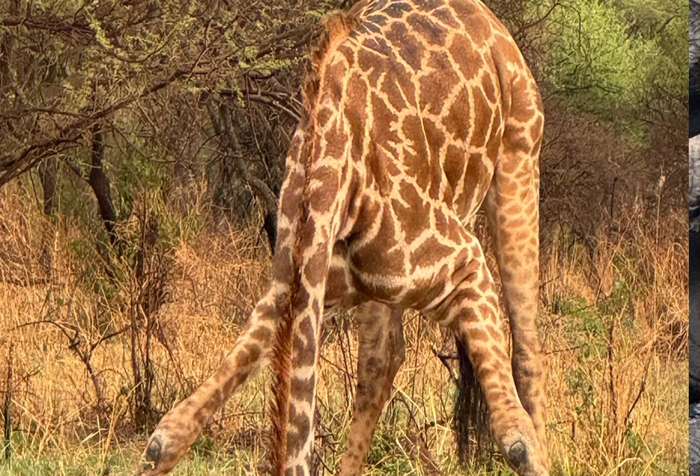 Arusha National Park safari destination in Tanzania