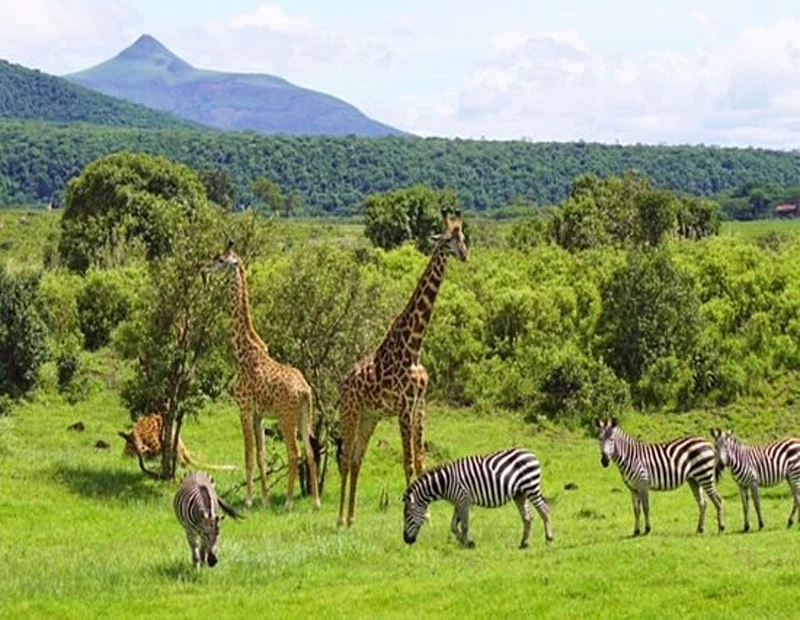 Arusha National Park — related Tanzania destination