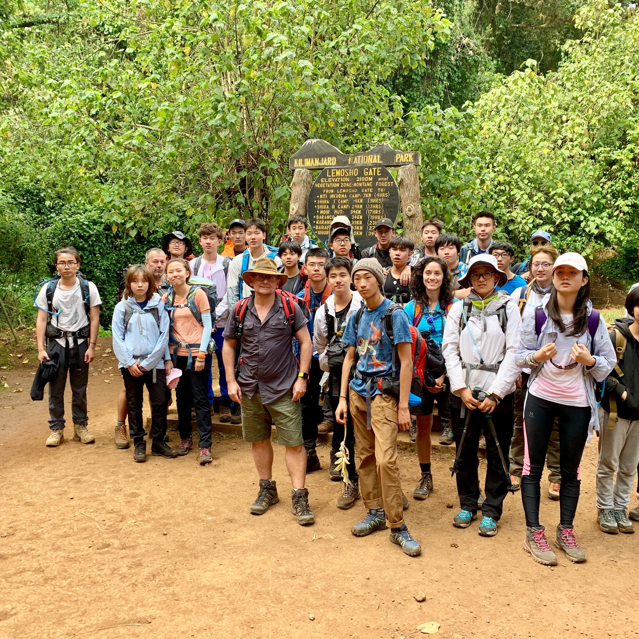 Guided kilimanjaro hiking group walking through lush forest trail