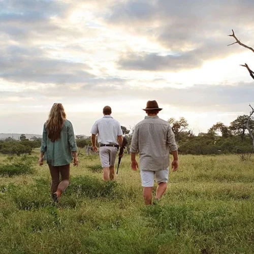 Guided wildlife and cultural safari experience in Tanzania